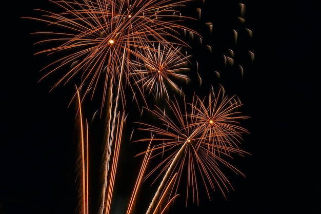 Fogos de artifício coloridos explodiram no céu noturno