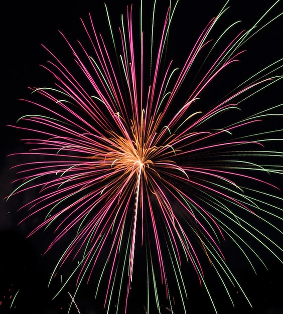 Fogos de artifício coloridos no céu noturno