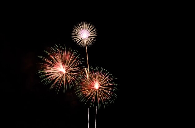 Fogos de artifício coloridos sobre o fundo do céu negro com espaço livre para texto