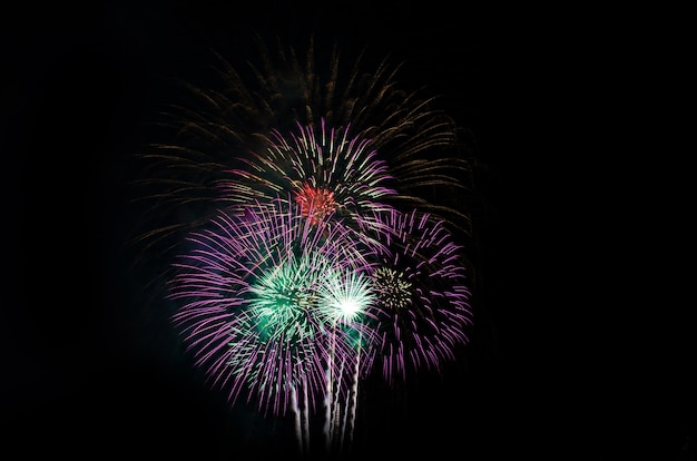 fogos de artifício coloridos sobre o fundo do céu negro sobre a água