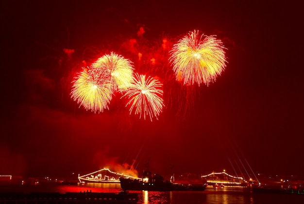 Fogos de artifício de férias acima da baía noturna