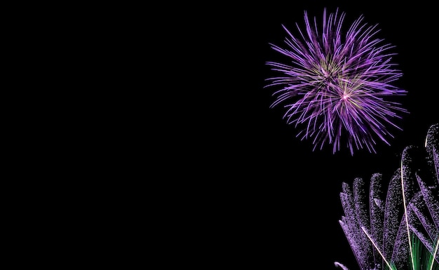 Fogos de artifício, incrível jogo de luz no céu