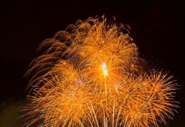 Fogos-de-artifício no céu em Suan Luang Rama 9 Thailand.