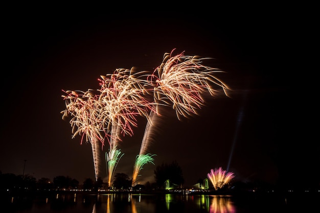 fogos de artifício no céu escuro durante a noite festival