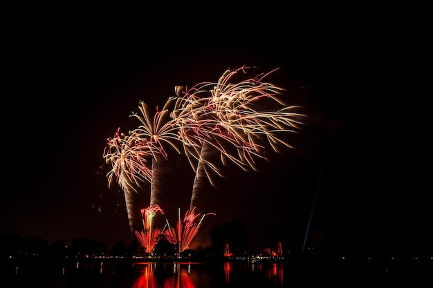 fogos de artifício no céu escuro durante a noite festival