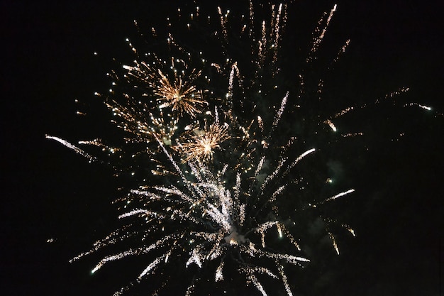 Fogos de artifício no céu noturno