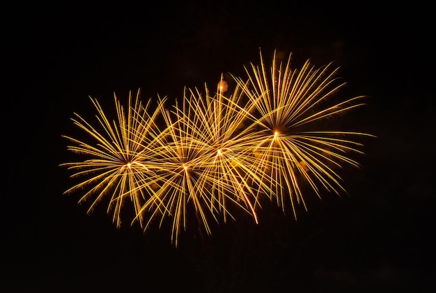 Foto fogos de artifício no fundo do céu escuro