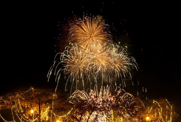 Fogos de artifício no fundo do céu escuro