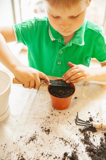 Fokussierter Junge in grünem T-Shirt, der Erde im Topf drückt, während er in der Nähe des Tisches steht und bei Sonnenlicht zu Hause im Garten arbeitet