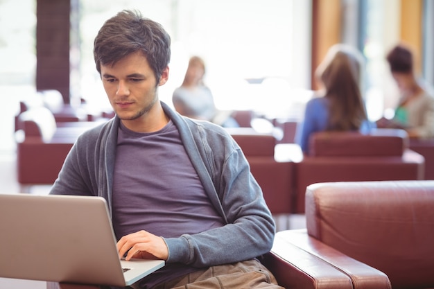 Fokussierter junger Student, der auf Couch studiert