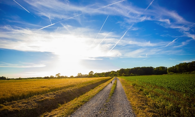 Folge dem Himmel