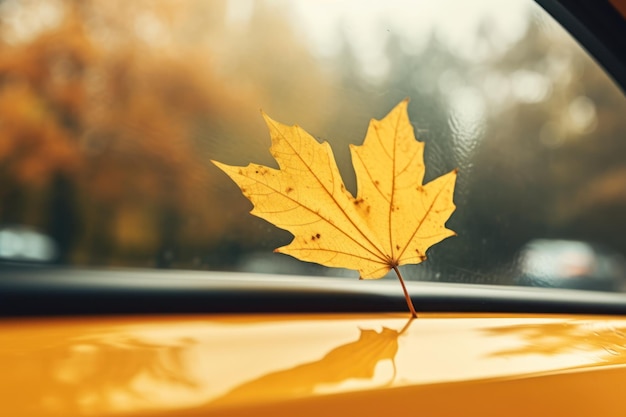 Foto folha amarela emocionalmente alegre no pára-brisa do carro evocando o outono quente