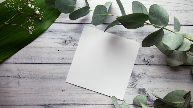 folha branca em branco com lugar para texto em um fundo claro com folhas de plantas, flores e eucalipto