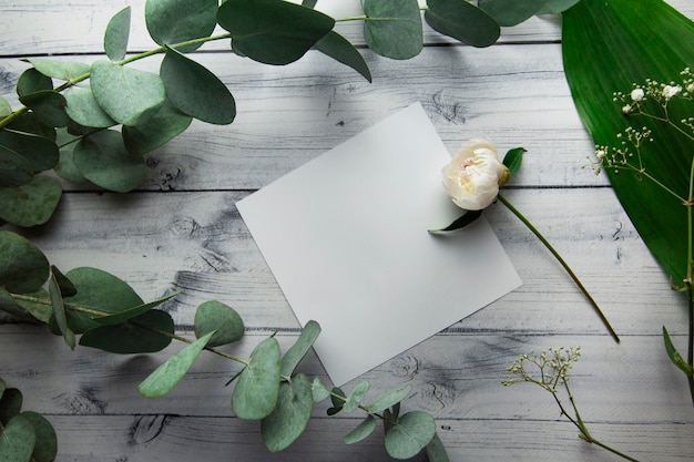 folha branca em branco com lugar para texto em um fundo claro com plantas, folhas, flores e ramos de eucalipto, vista de cima