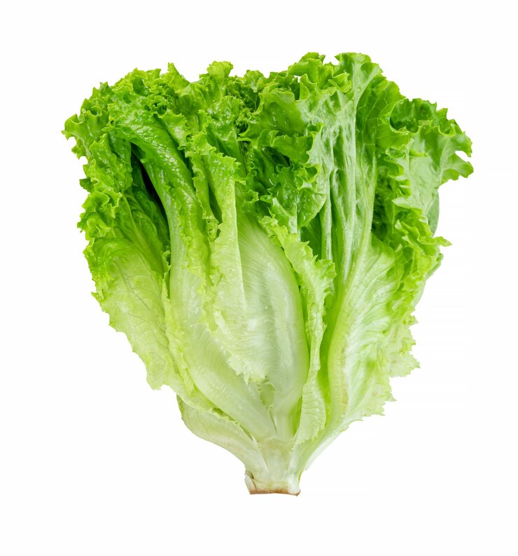 Foto folha de alface isolada em fundo branco padrão de folhas verdes ingrediente de salada