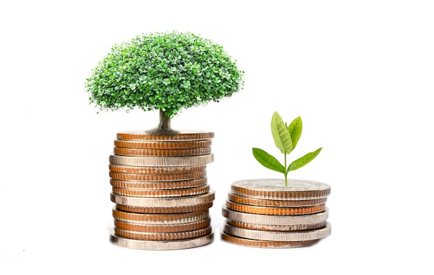 Folha de árvore em moedas de economia de dinheiro Finanças empresariais economizando conceito de investimento bancário
