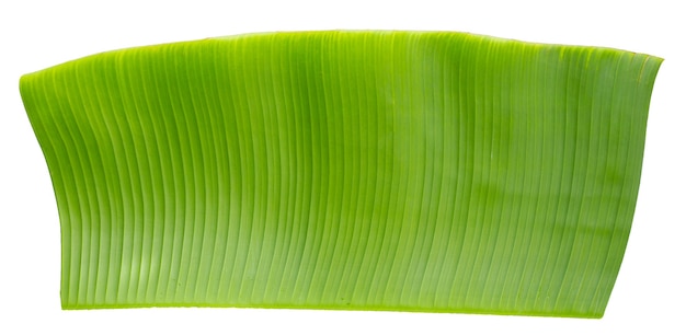 Folha de banana verde em fundo branco.