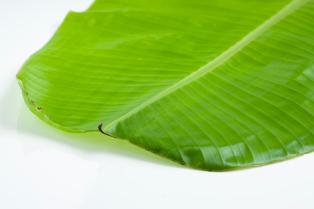 Folha de bananeira com textura de folha de bananeira verde fresca