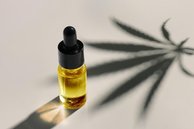 Folha de cânhamo de cannabis sativa legalizada e recipiente de óleo CBD com tampa conta-gotas