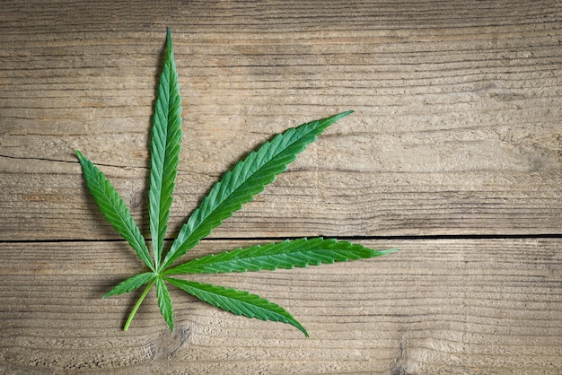 Folha de cannabis em fundo de madeira Folhas de cânhamo de cannabis ou vista superior da planta de folha de maconha