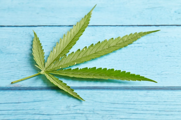 Folha de cannabis em madeira azul brilhante