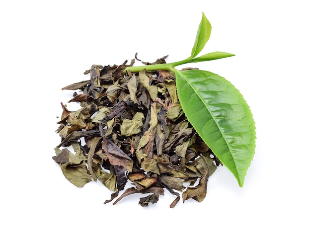 Folha de chá verde isolada