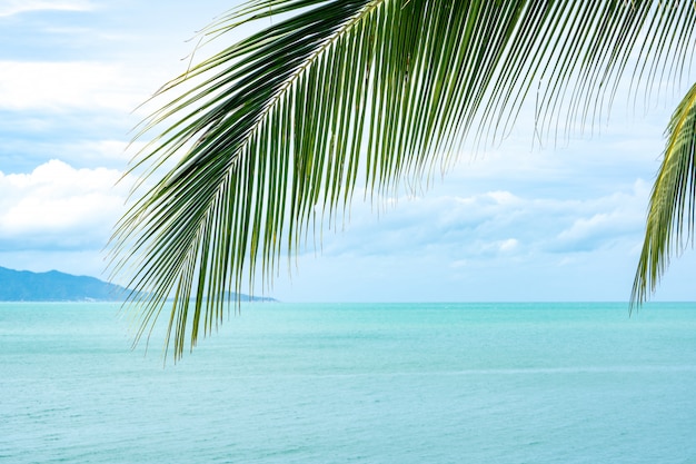 Folha de coco no fundo do mar e céu azul