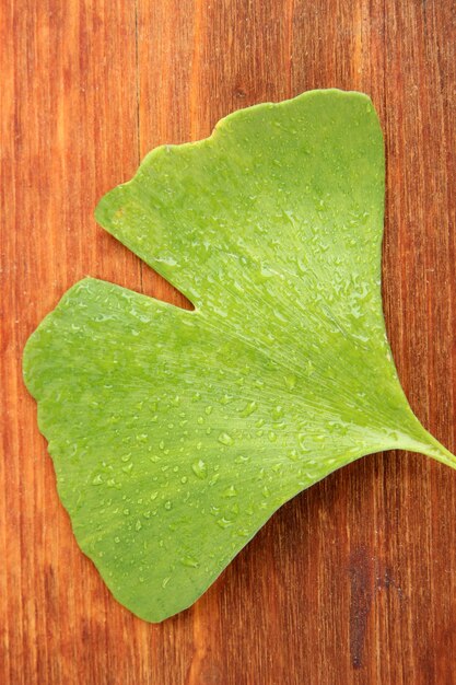 Folha de Ginkgo biloba em fundo de madeira