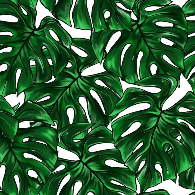 Folha de monstro verde planta tropical tinta aquarela arte de linha desenhada à mão esboço sem costura fundo de textura padrão