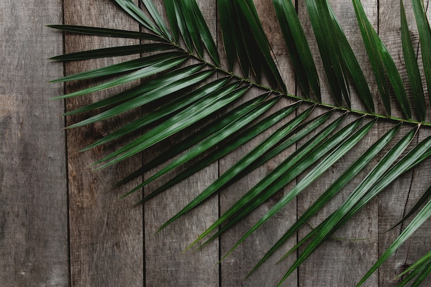 Folha de palmeira verde sobre fundo cinza de madeira. Foto de alta qualidade