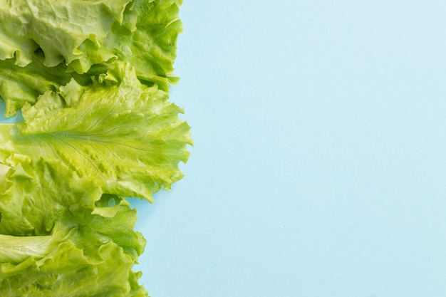 Folha de salada de alface isolada em fundo azul Fundo criativo com comida saudável de salada