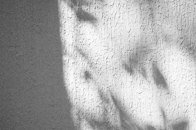 Folha de sombra no chão de parede de mármore de cimento