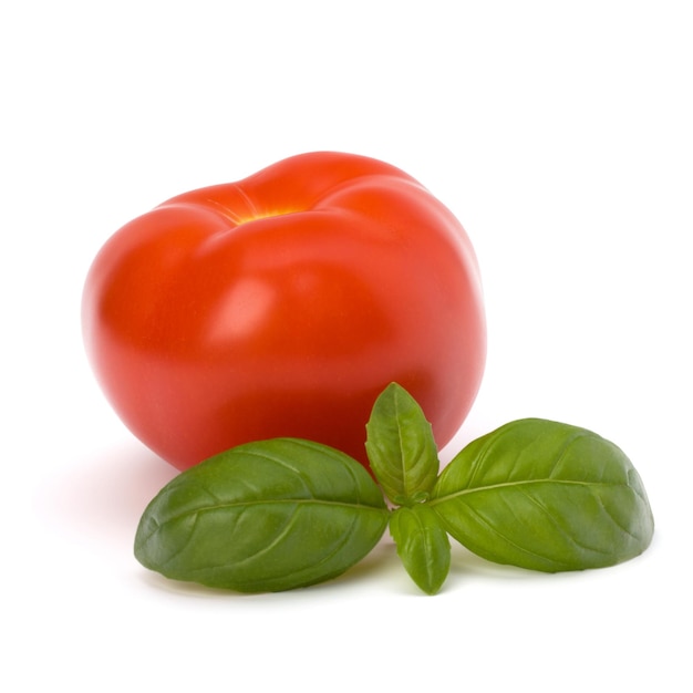 Foto folha de tomate e manjericão
