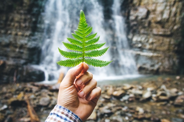 Folha verde de samambaias na mão contra um fundo de pedras e uma cachoeira.