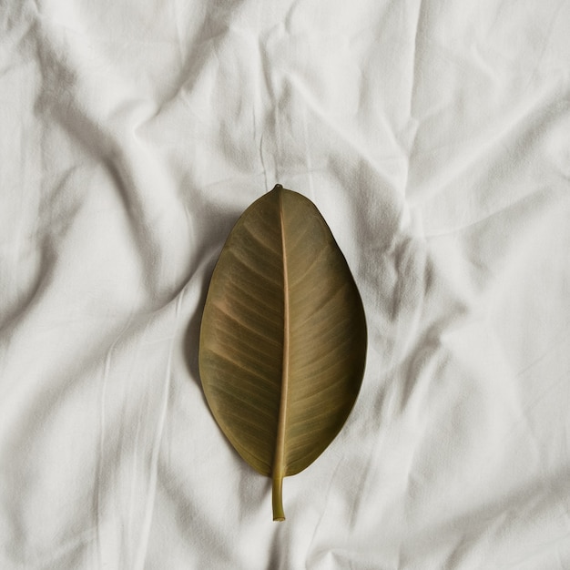 Folha verde em linho branco. Camada plana, vista de cima minimalista