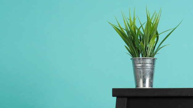 Folha verde falsa ou planta artificial em vaso na mesa com fundo azul e verde ou hortelã.