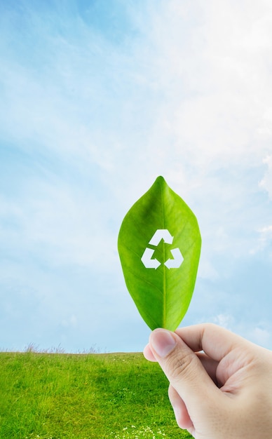 Foto folha verde fresca na mão com símbolo de reciclagem no fundo da natureza