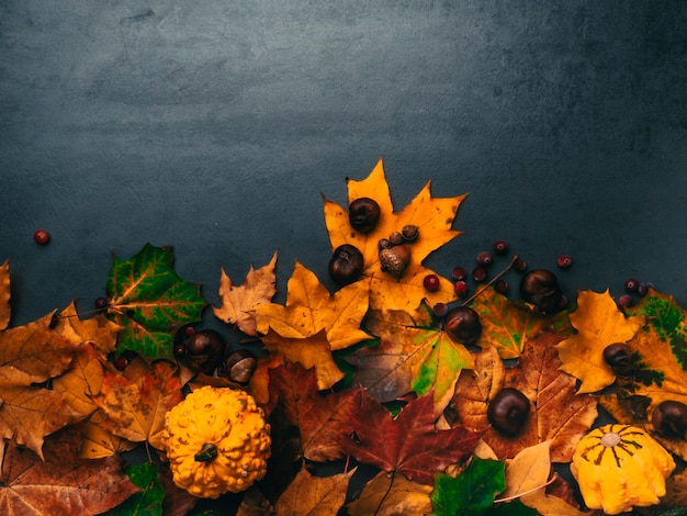 Folhagem de outono com abóboras bolotas chesnuts para o Dia de Ação de Graças e feriados de outono Fundo da borda inferior com espaço de cópia