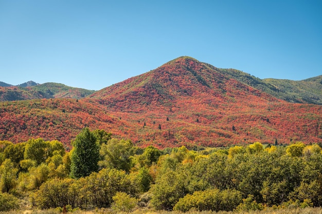 Foto folhagem de park city utah eua ao longo do wasatch back no outono