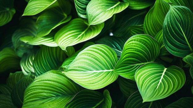 Folhagem verde vibrante e exuberante de uma planta saudável facilmente descoberta Imagem de estoque com IA gerativa