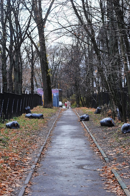 Folhas caídas em sacos pretos - limpando o território nas ruas de Moscou