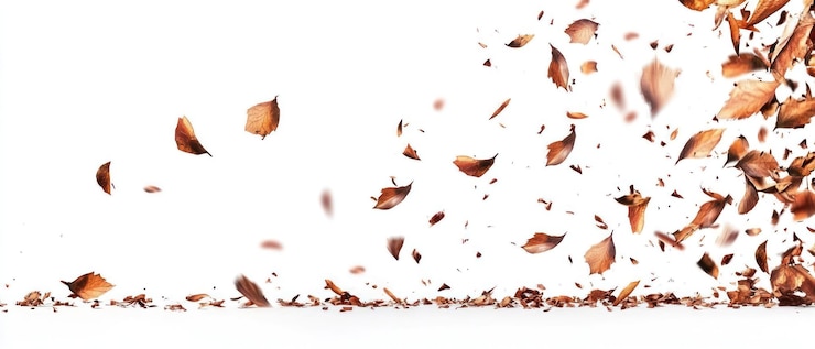 Foto folhas castanhas caindo e flutuando no ar contra um fundo branco