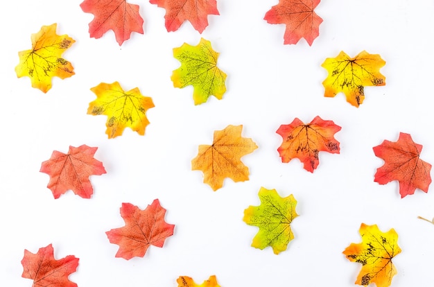 Folhas coloridas de outono isoladas