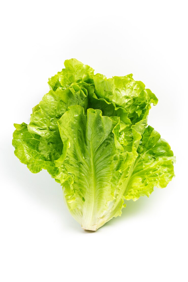 Foto folhas de alface verdes frescas isoladas no branco