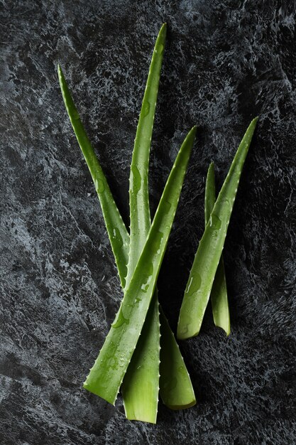 Folhas de aloe vera em fundo preto esfumaçado