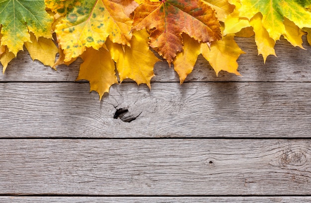 Folhas de autum em uma mesa de madeira