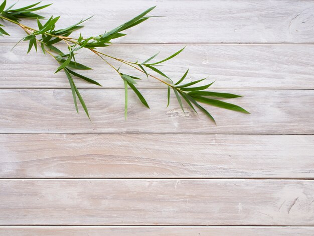 Folhas de bambu em branco de madeira