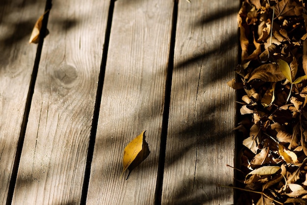 Folhas de bordo de outono em fundo de madeira com espaço de cópia Vista superior