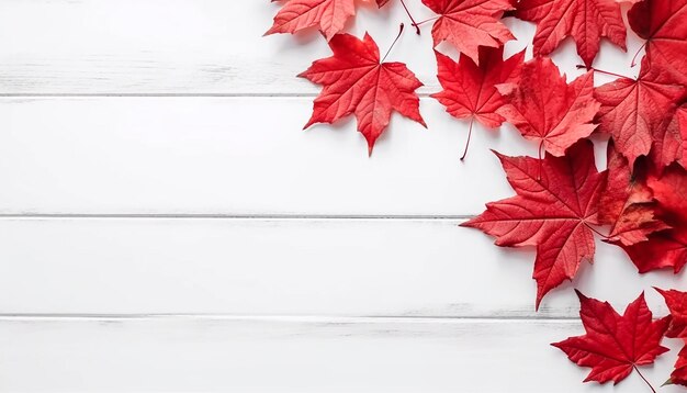 folhas de bordo do dia canadense em fundo de madeira branca espaço para texto