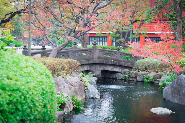 Folhas de bordo japonês